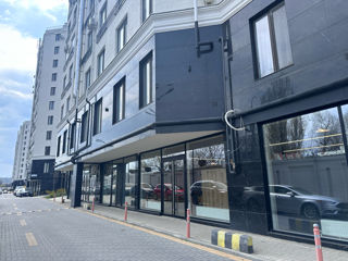 Parter I.Radu Newton House foto 1