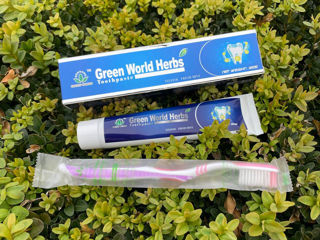 Pastă de dinți Green World