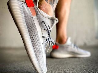 Adidas Yeezy Boost 350 Tail Light Unisex foto 4