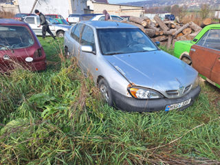 Nissan Primera foto 2