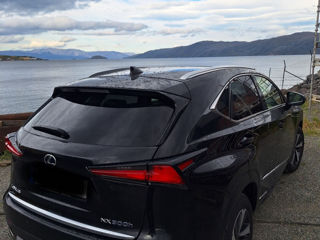 Lexus NX Series foto 4