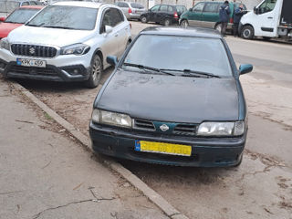 Nissan Primera foto 4