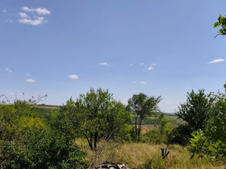 1-rm apt., 19 м², 3/5 fl.