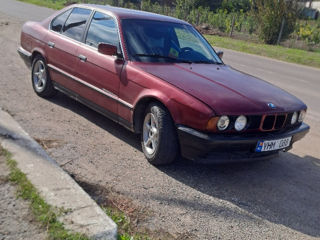 BMW 5 Series foto 4