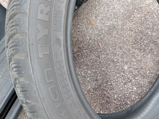 255 45 R20 Nokian WR SUV 4 foto 5