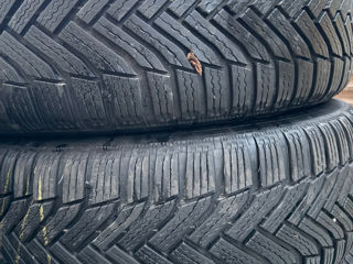 205/55 R17 Michelin foto 7