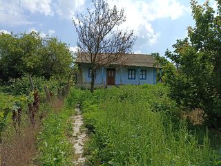 Casa de locuit Raionul Leova, sat. Cazangic foto 5