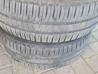 Продам шины Michelin 185/65 R15 88T ЛЕТО foto 4