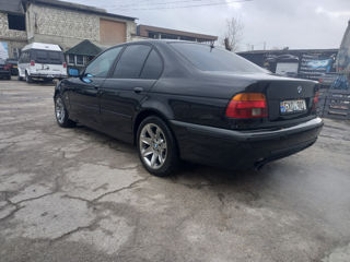 BMW 5 Series foto 5