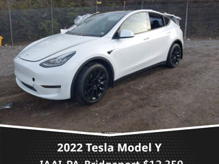 Tesla Model Y foto 3