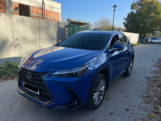 Lexus NX Series foto 5