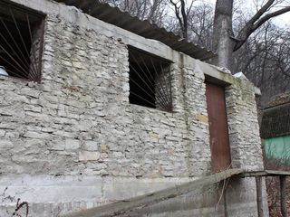 Bază de odihnă în pădure (Volna Soroca) foto 3