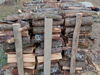 Vînd lemn tare stejar tăiate gata de pus pe foc cu livrare gratis pînă acasă vînd la metru