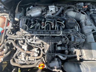 Motor WV Skoda 1.6 tdi 2011