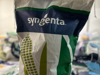 SYNGENTA