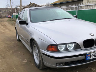 BMW 5 Series foto 4