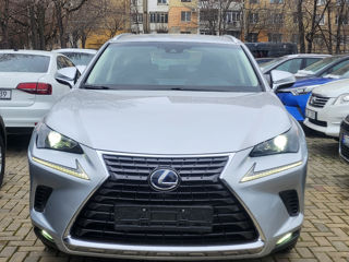 Lexus NX Series