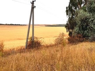 Vind teren 200 ari la traseul international spre Orhei, 5 km de la Chisinau / участок 2 га foto 6