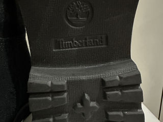 Timberland foto 5