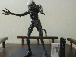 Эксклюзивные Predator и Alien от NECA! foto 9