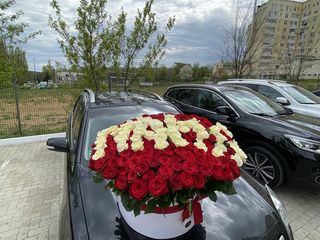 101 trandafiri Tiraspol de la 900  lei! foto 1