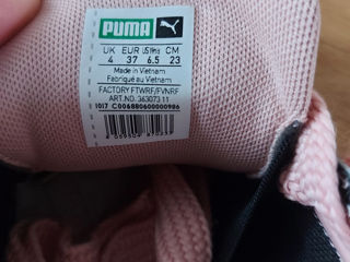 Puma(original) foto 4