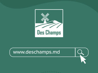 Deplumator prepelițe des champs eu profi desk foto 6
