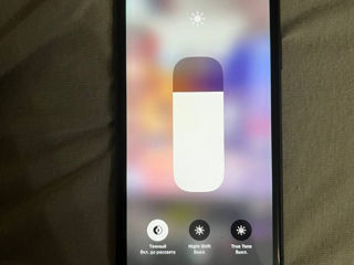 Apple iPhone 11 foto 2