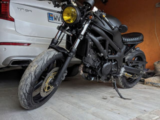 Suzuki SV650 Caferacer foto 2