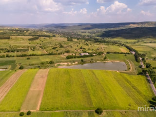 Se vinde afacere activă în s. Dolna, Strășeni, Chișinău foto 15