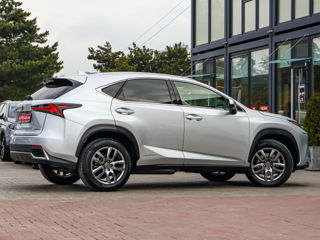 Lexus NX Series foto 5