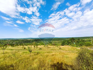 Teren pomicol în comuna Trușeni (Bostancea) foto 8