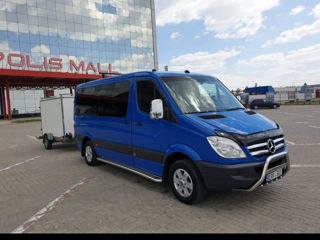 Mercedes 316NGT foto 6