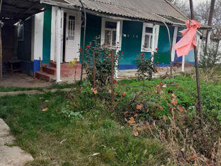 Urgent se vinde casă de locuit în satul Gașpar, raionul Edineț!!! foto 9