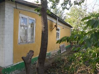 Продаю дом в г. Сынжерей. Vind casa in or. Sîngerei (Lazovsk) foto 3
