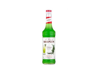 Sirop Tarhon Tarragon Monin 700 ml Gustul-Copilăriei Livrare Moldova foto 2