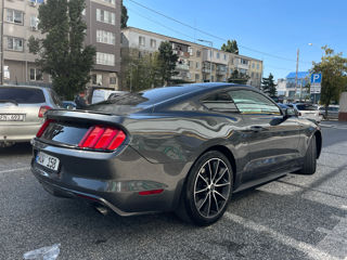 Ford Mustang foto 4