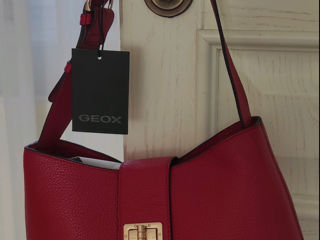 Coccinelle,Geox, Carpisa