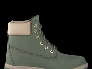 Timberland foto 2