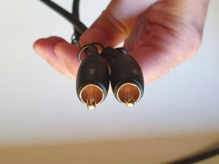 AudioQuest Subwoofer Cable foto 2