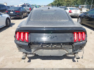 Ford Mustang foto 6