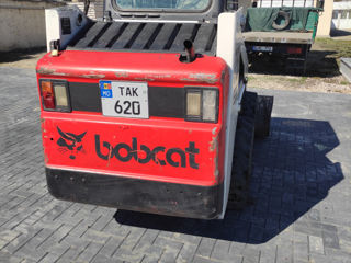 Bobcat foto 8