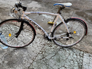 Velic de traseu  carraro