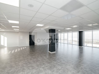 Oficiu cu euro reparație, open space, Bd. Dacia, 241 mp ! foto 7