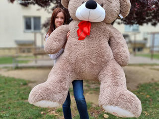 Плюшевые медведи гиганты 170 - 180 см! Бесплатная доставка по Кишиневу в течение 2х часов. foto 1