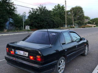 Nissan Primera foto 4