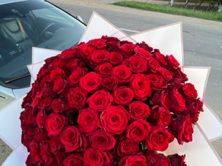 Розы по оптовой цене / 101 - 800 лей / Букеты на заказ. foto 6
