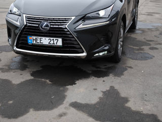 Lexus NX Series foto 6