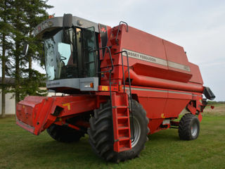 Massey Ferguson MF 40 DV 2