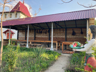 Foisor, Bisetka (Crama Diaconu) foto 0